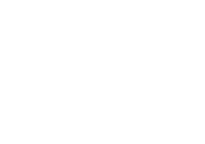 Palmeras Realty